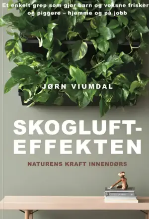 Skogluft-effekten: Naturens kraft innendørs