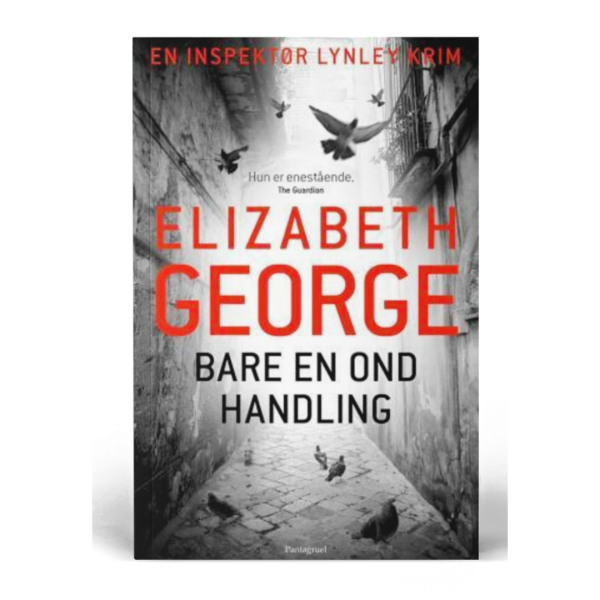 Coverbilde av 'Bare en ond handling' av Elizabeth George, en fengslende internasjonal krimroman.